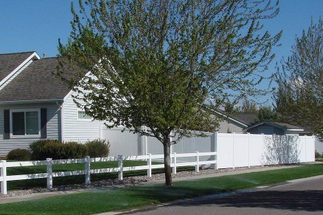 A white house with a white fence and a tree in front of it.