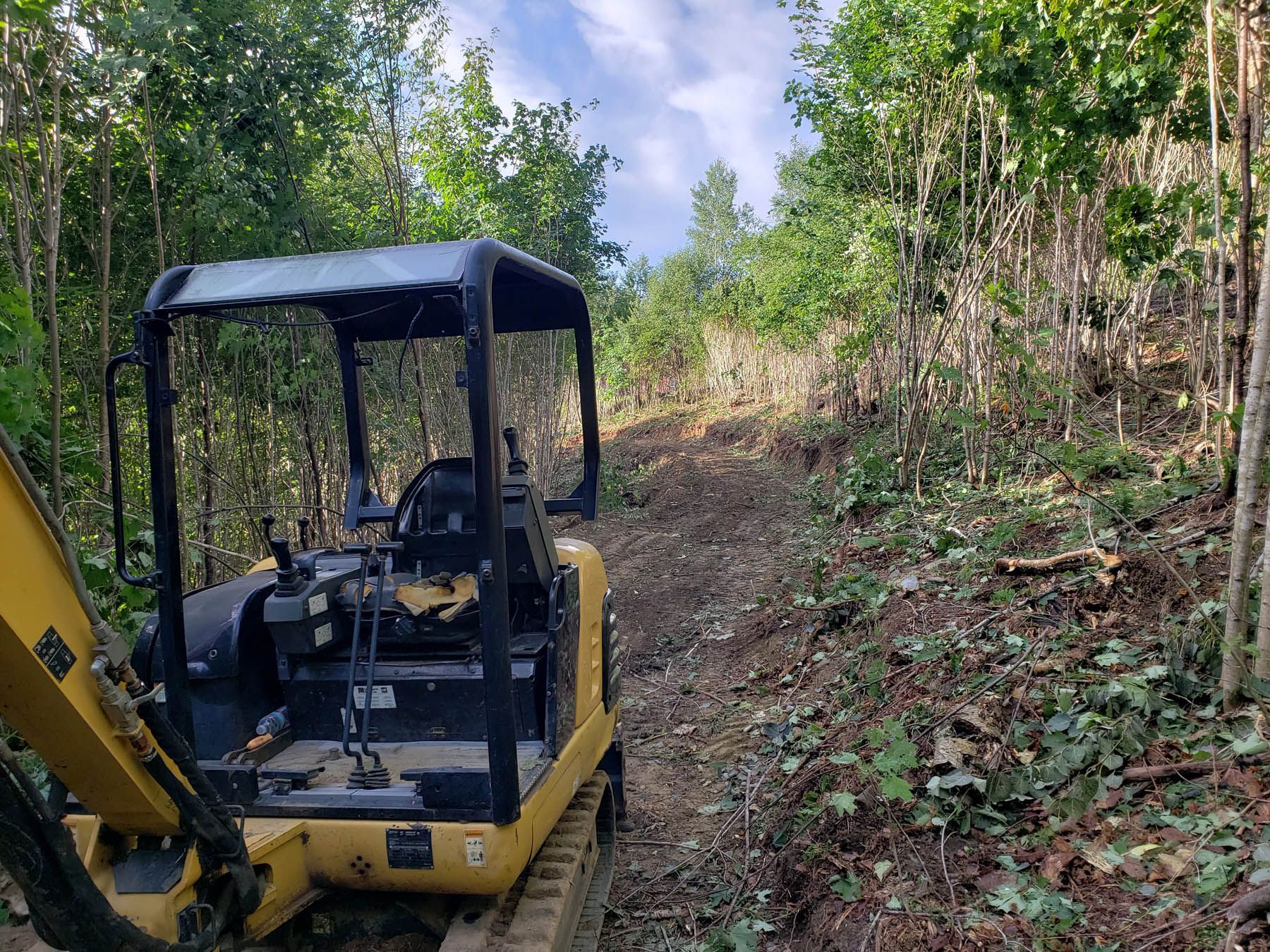 Mini-excavator on a wooded path, clearing brush on a hillside with a blue sky visible.
