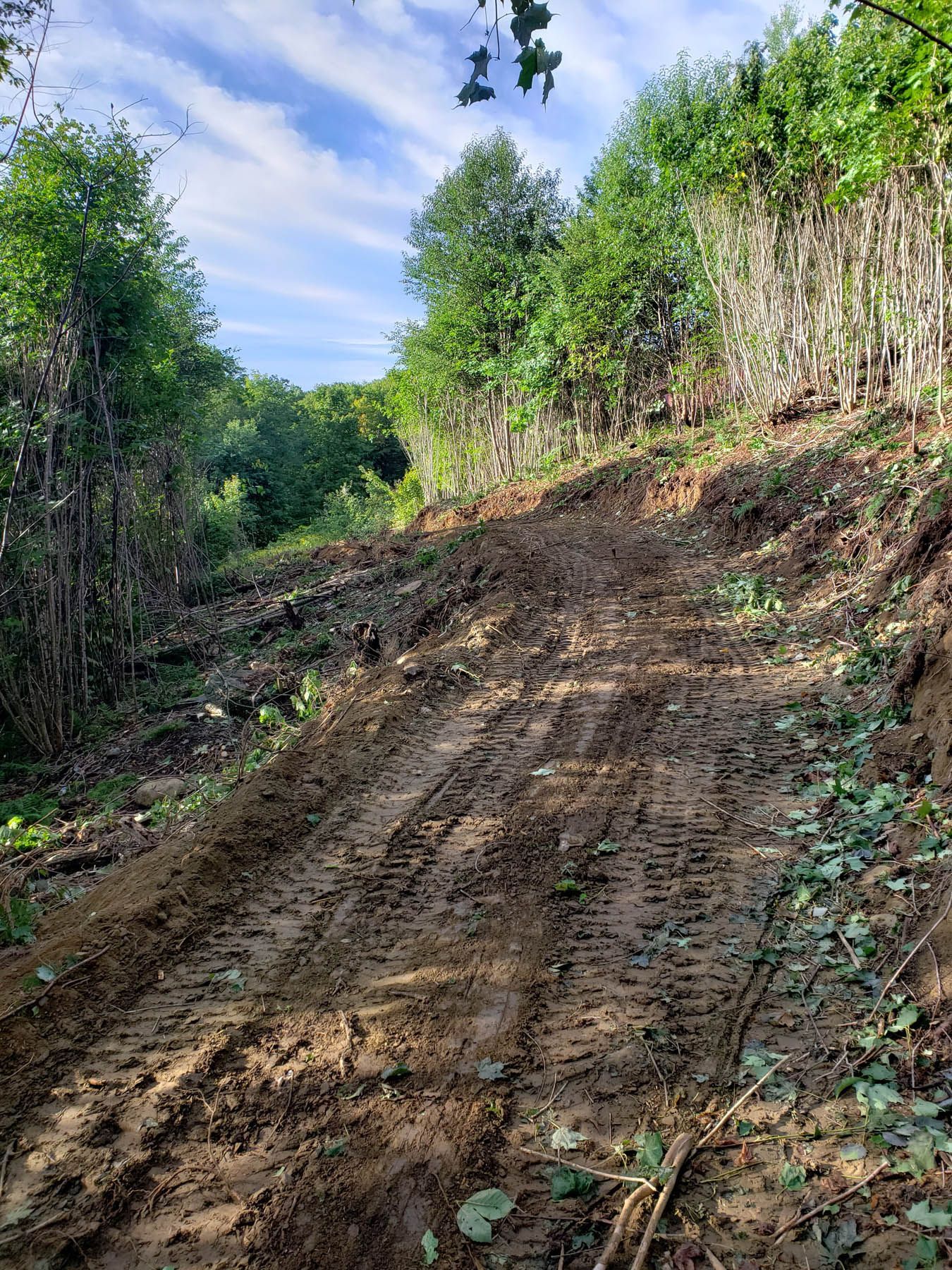 Muddy path cut into a hillside, tire tracks visible. Trees line the edges under a partly cloudy sky.