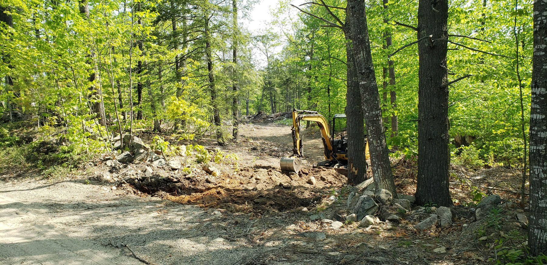 An excavator clearing land in a forest; trees on either side.