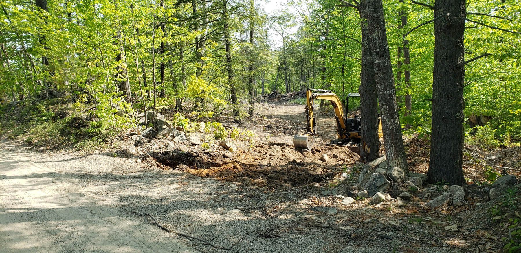 An excavator clearing trees and debris in a wooded area, on a gravel road.