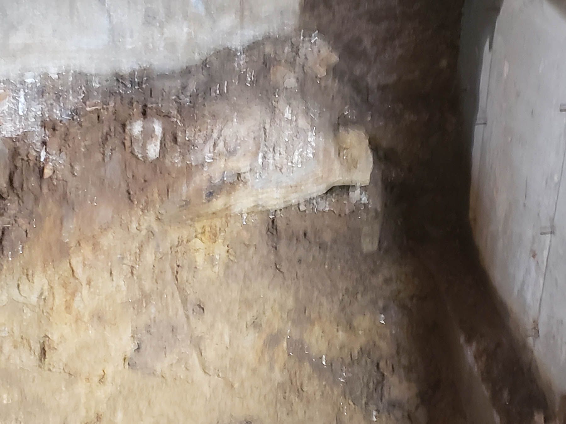 Dirt and a light-colored, possibly concrete, wall. White mineral deposits and shadows are visible.