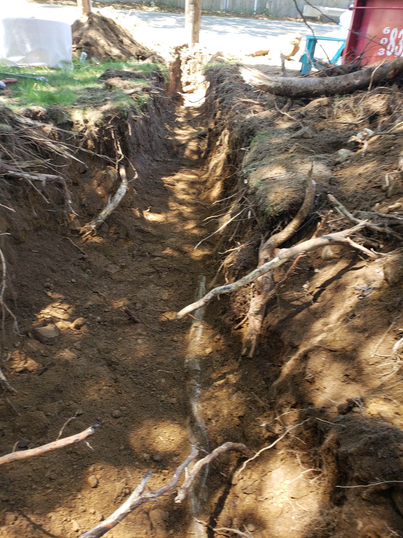 A narrow trench dug in brown soil, with exposed roots and debris, running through a yard.