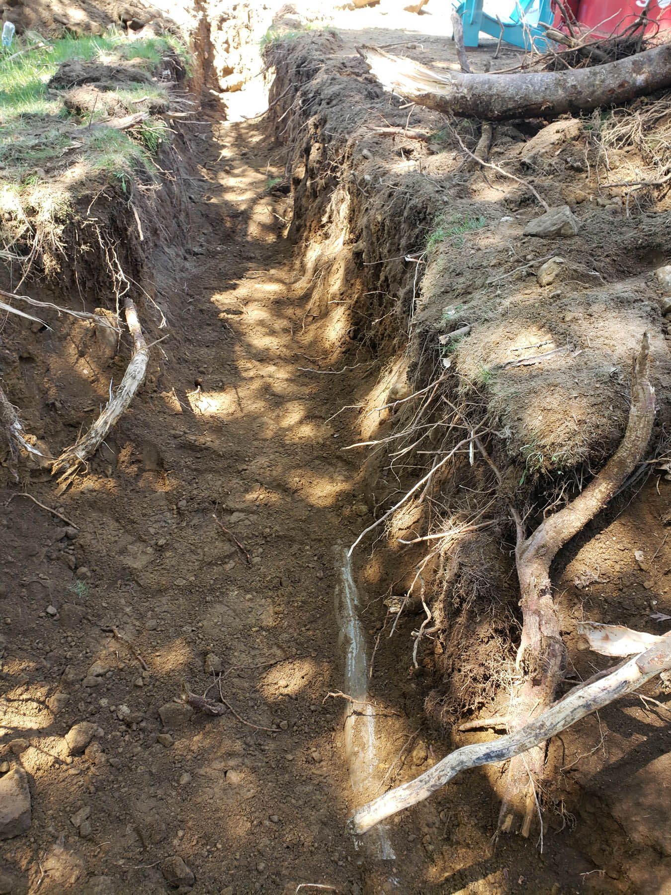 Trench dug in brown earth, with exposed tree roots. Sunlight shines on the soil.