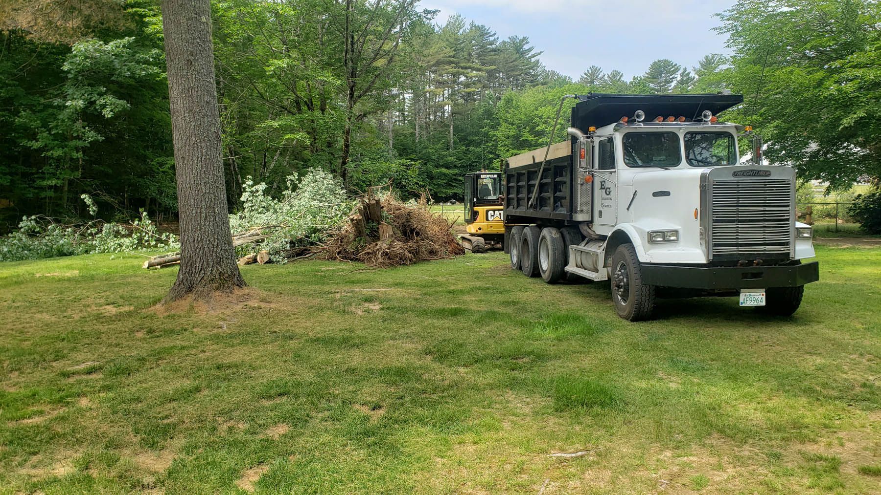 A dump truck and excavator near a pile of brush in a grassy yard next to trees.