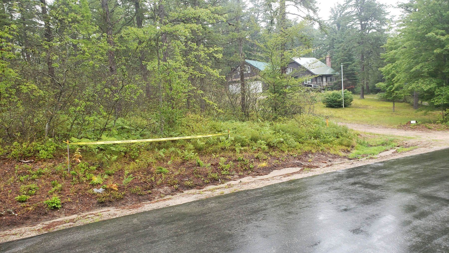 Roadside view of a weathered cabin partially obscured by greenery, with yellow caution tape.