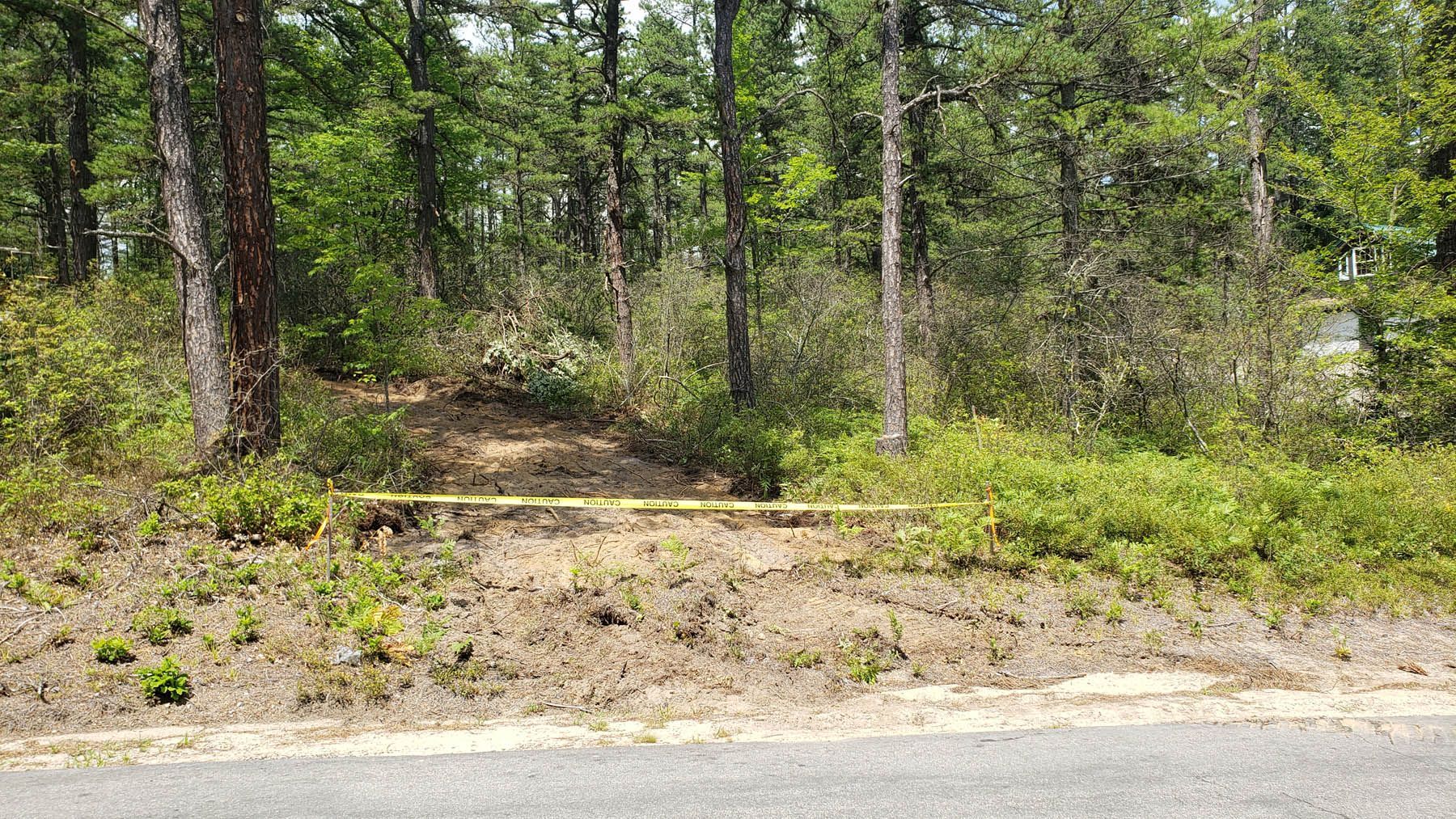 Dirt mound in front of dense forest, trees and bushes, green and brown hues, overcast day.