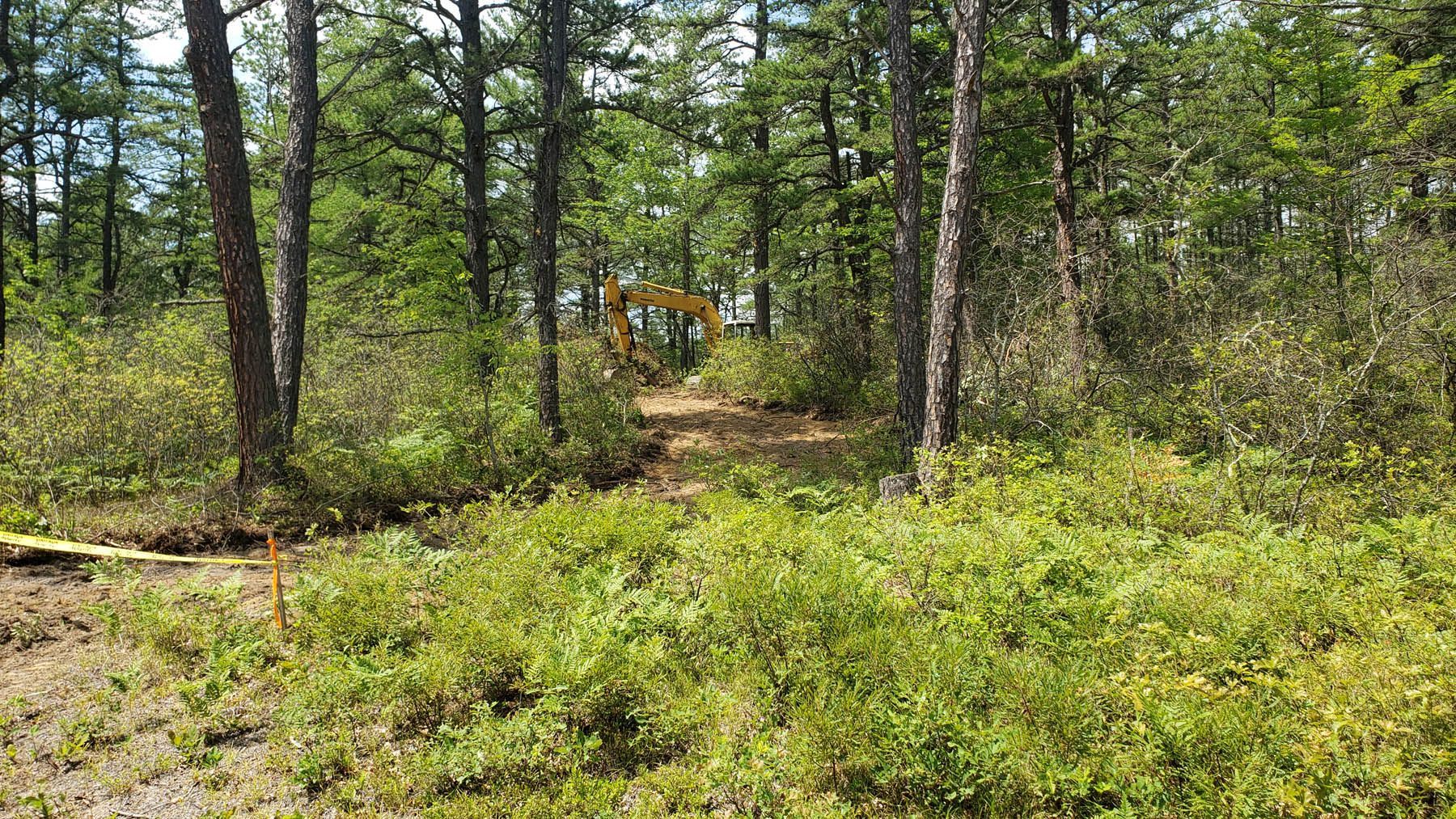 An excavator working in a wooded area, clearing brush and trees.