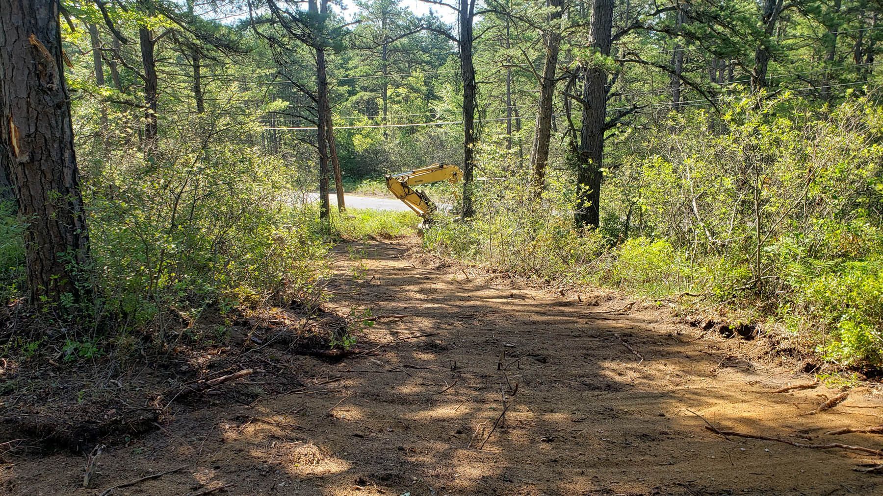 Dirt path through a sunny forest leads to a distant road; foliage on either side.