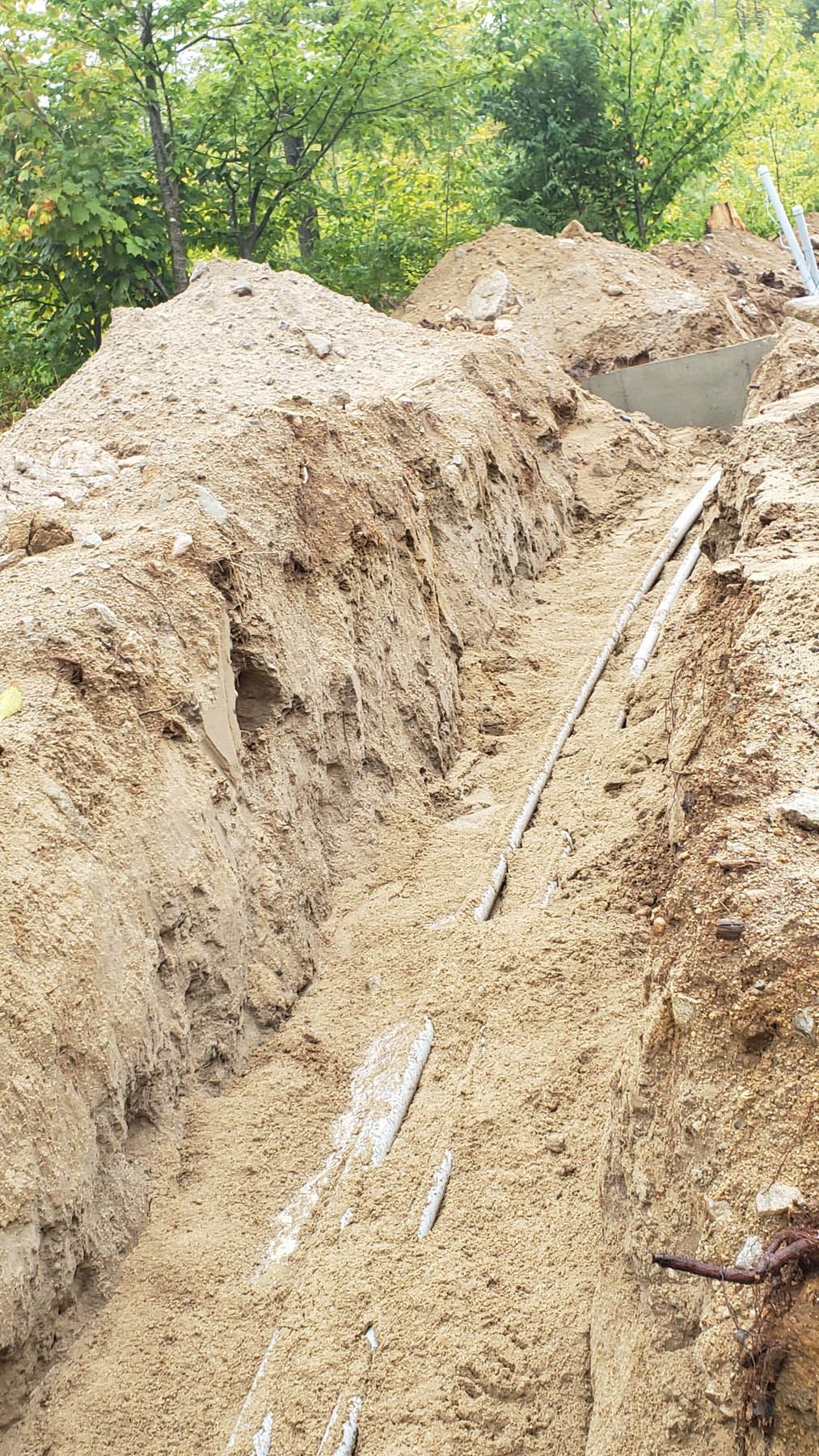 A trench dug in the dirt with pipes and a cement structure inside. Trees in the background.