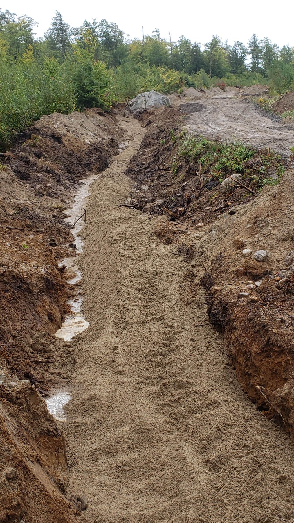 A trench filled with wood chips; forest in the background.