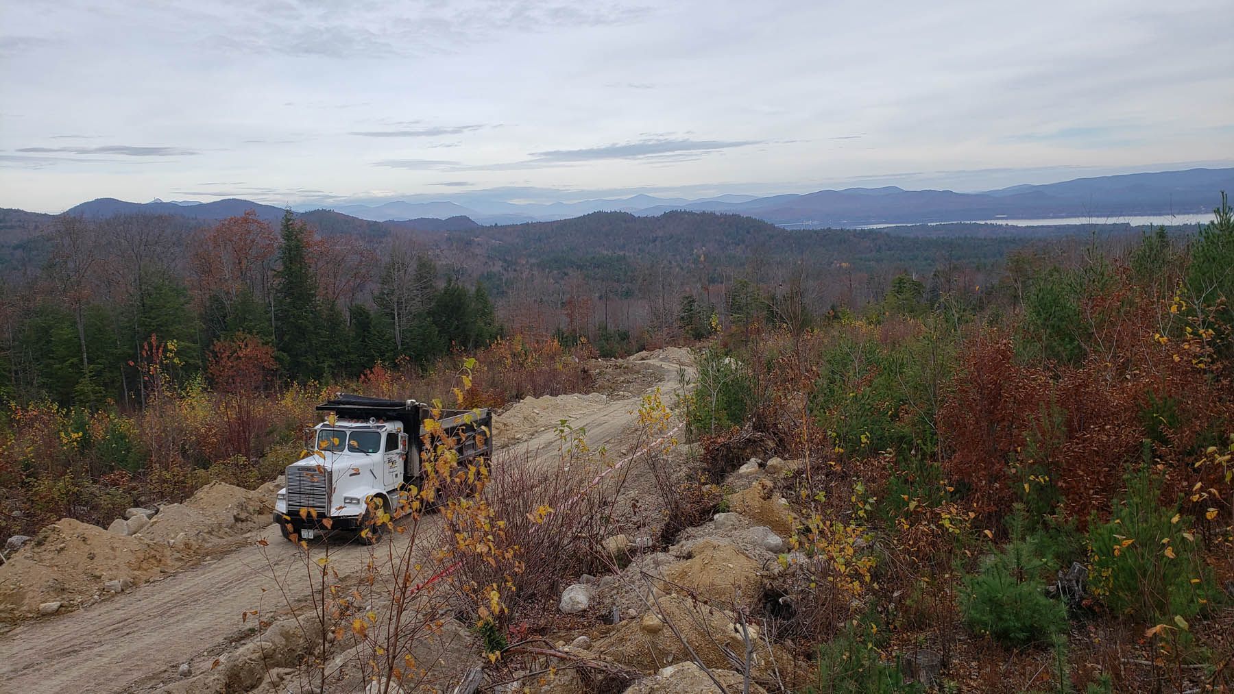 Truck driving on dirt road through forest with mountain backdrop. Overcast sky.