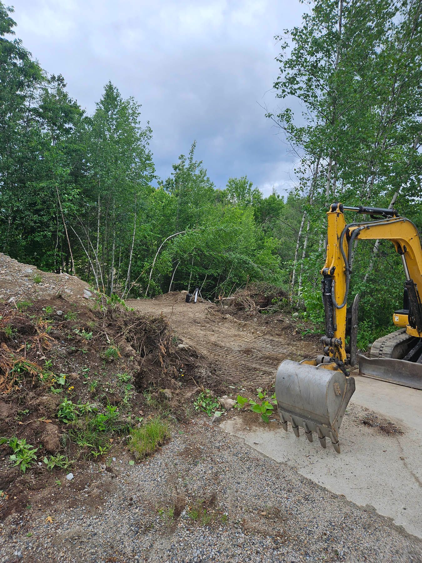 Yellow excavator clearing brush on dirt, next to paved area, with green trees in the background.