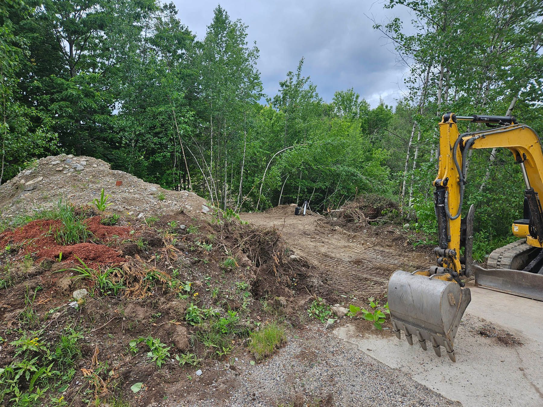 A yellow excavator sits near a dirt pile, clearing land near a forest.