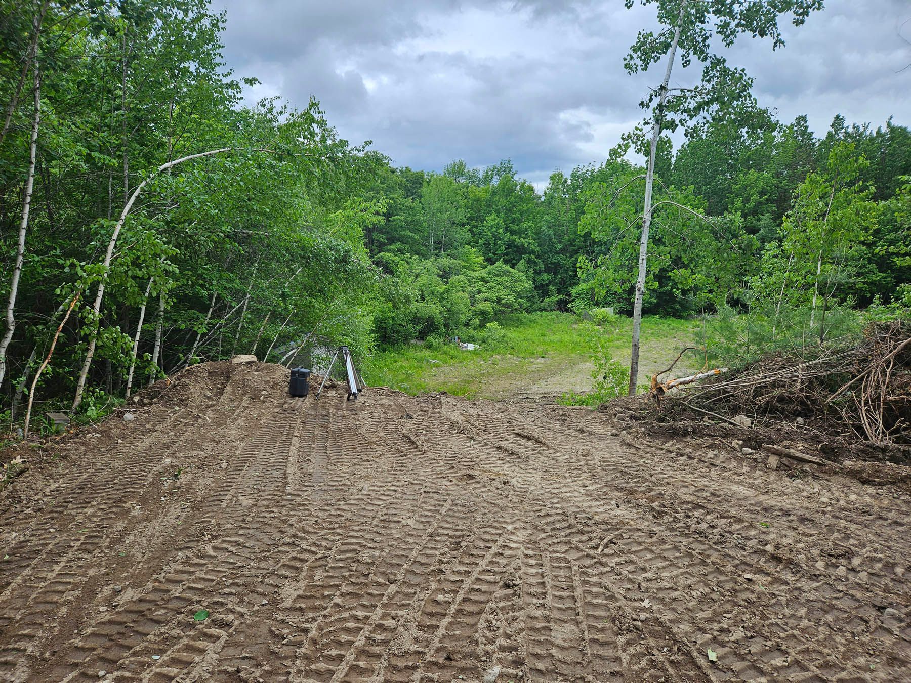 Dirt path cleared through trees, likely a construction site. Overcast sky.