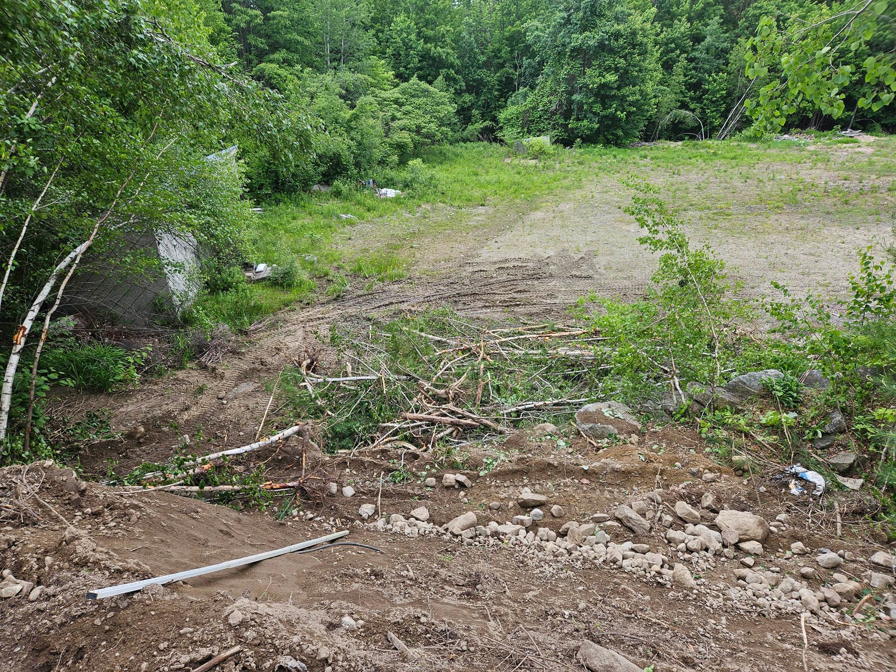 Dirt and debris-filled clearing with cut branches, near dense green trees and undergrowth.