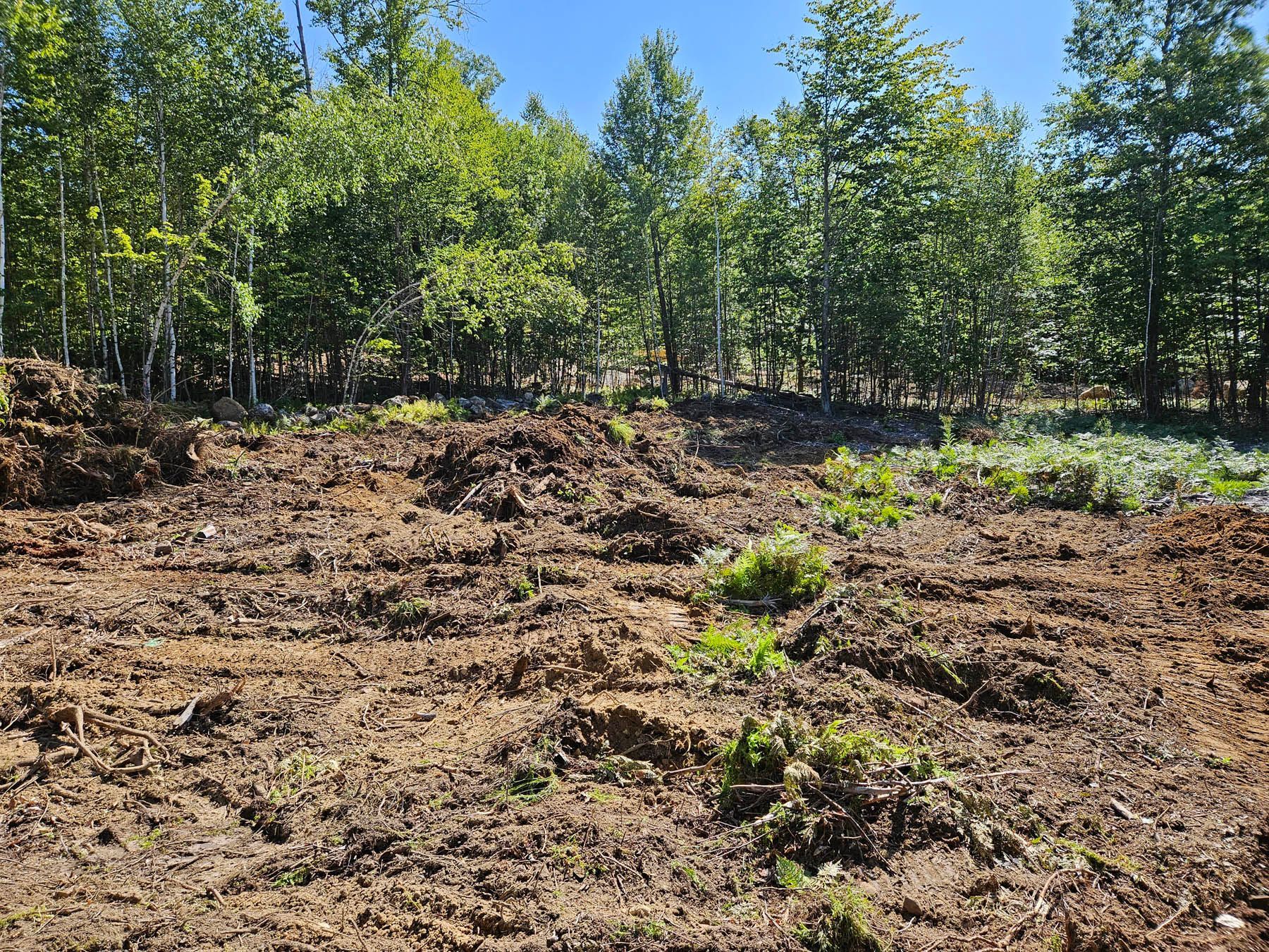 A cleared brown field with patches of green vegetation, trees in background under a blue sky.