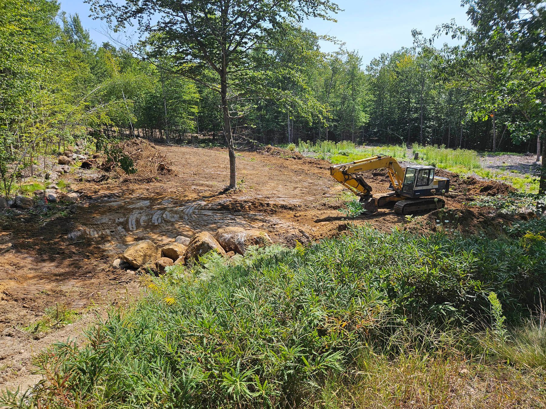 An excavator clearing land among trees, with dirt, grass, and sunlight.