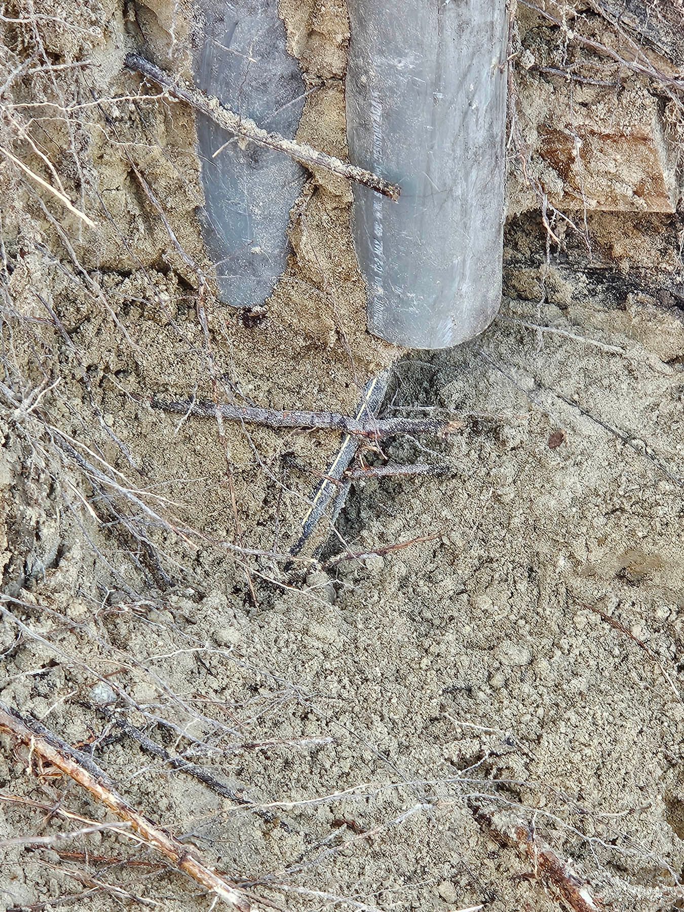 Two metal pipes are in sandy soil with wire and plant debris.