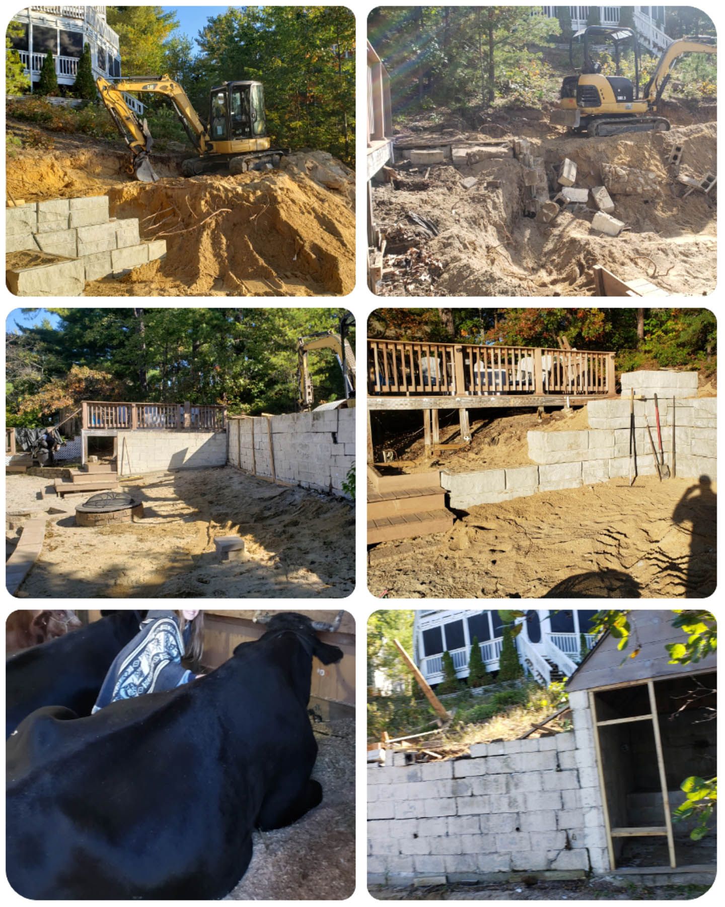 Construction site with excavator moving dirt, building retaining walls; cows resting nearby.