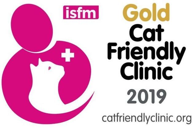 Gold Cat Friendly Clinic 2019
