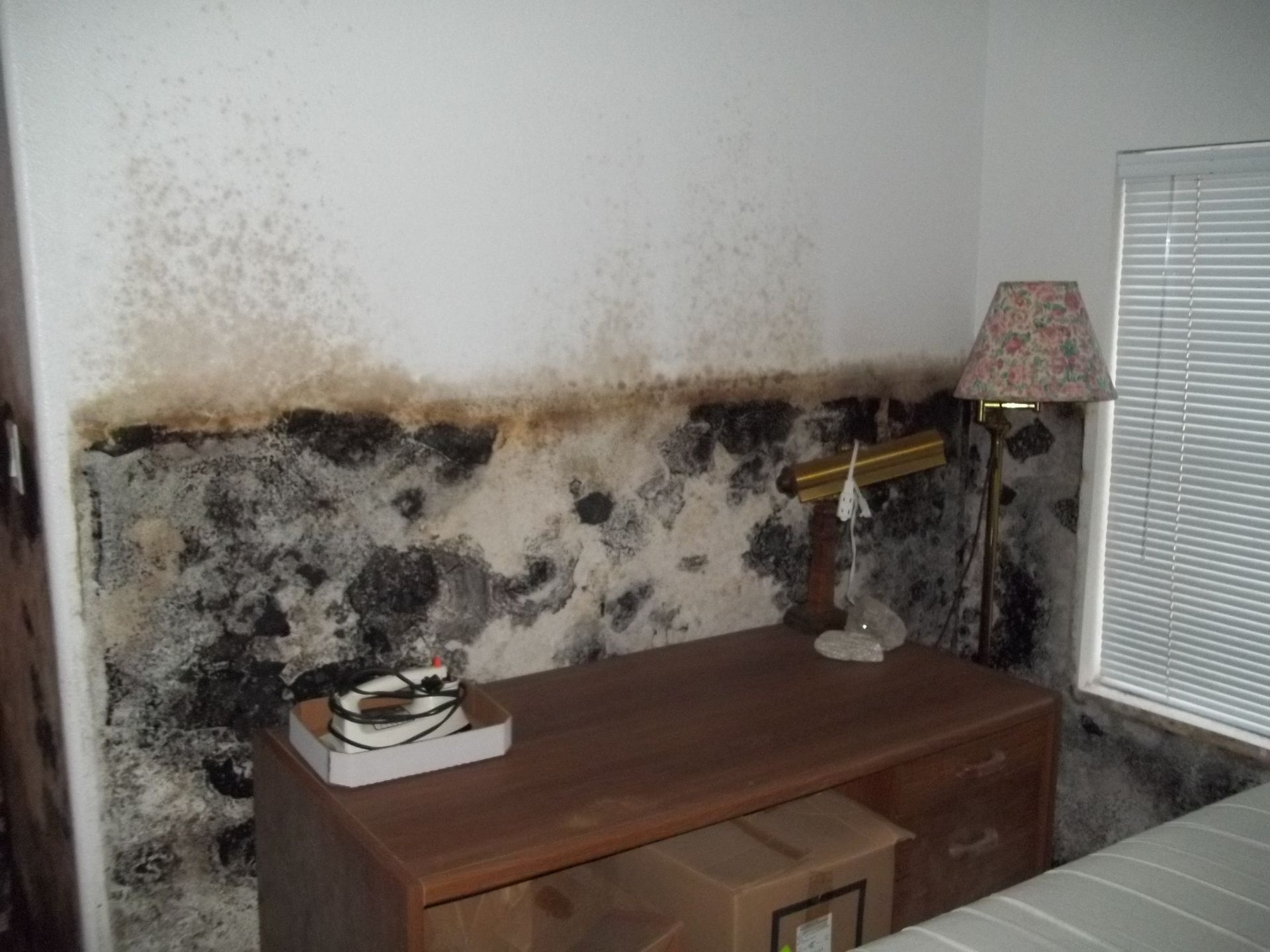 A bedroom with a dresser and a lamp and a mouldy wall.