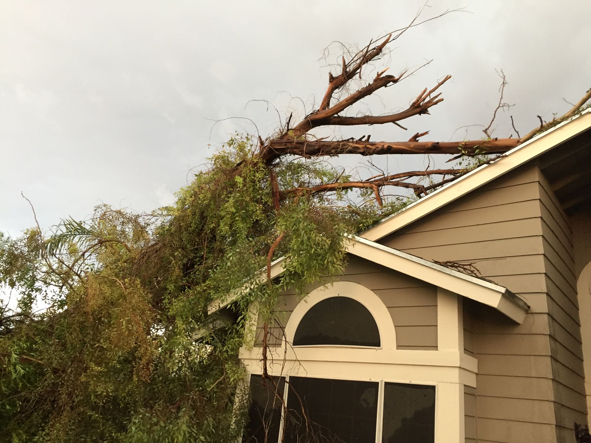 A tree has fallen on the roof of a house.