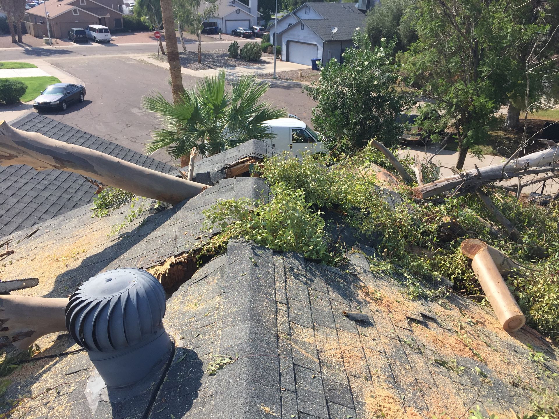 A tree has fallen on the roof of a house