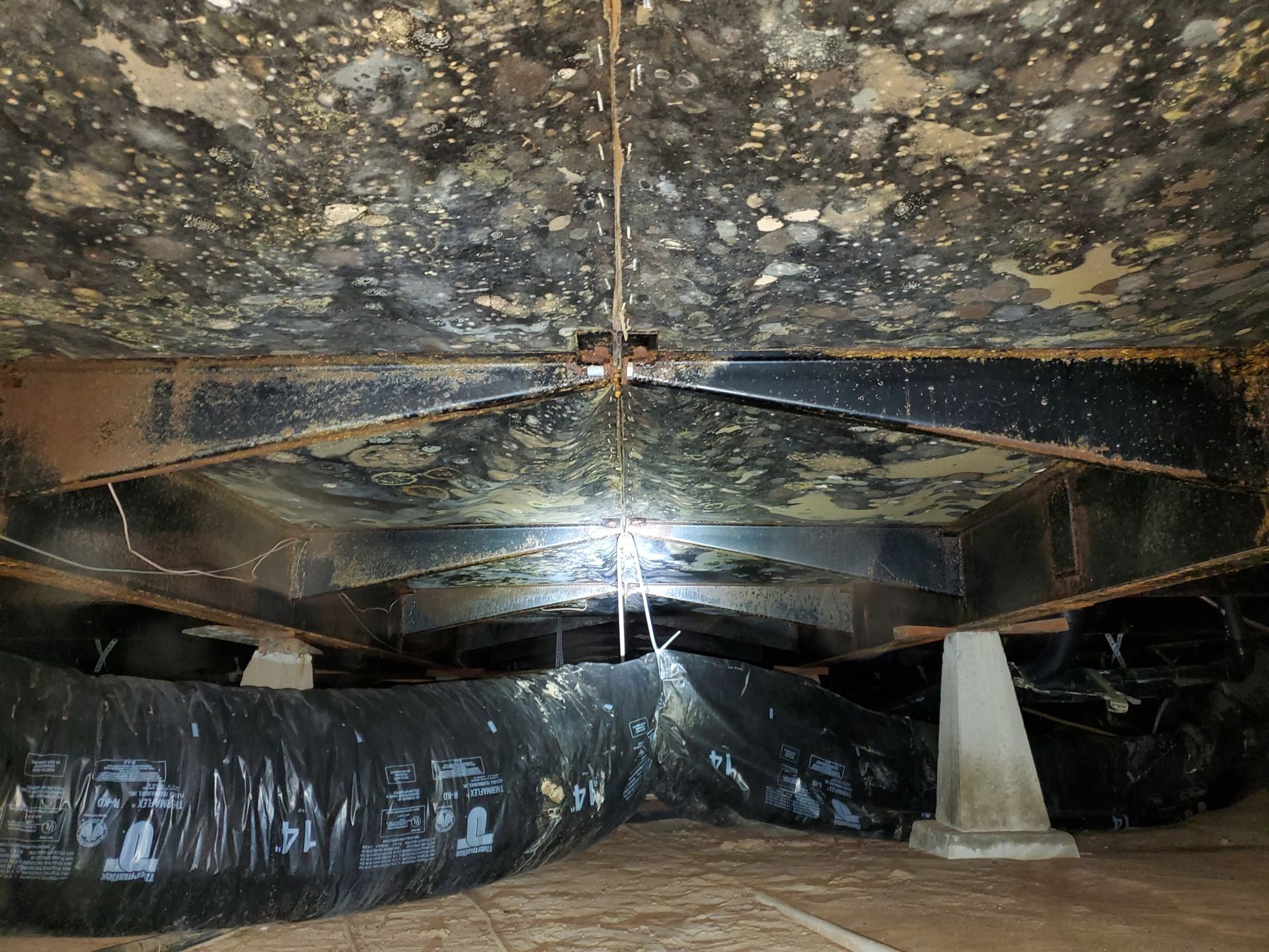 The ceiling of a room with a lot of mold on it.