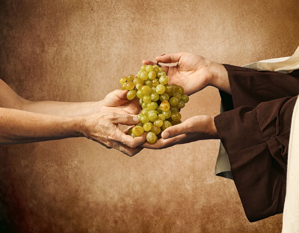 Man Offering His Fresh Grapes