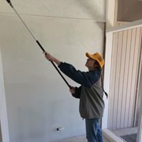 A Lady Volunteer Painting a Wall