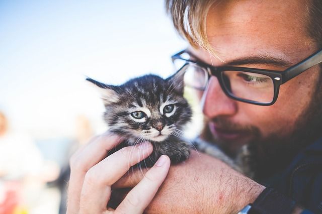 A man with glasses is holding a small kitten in his arms.
