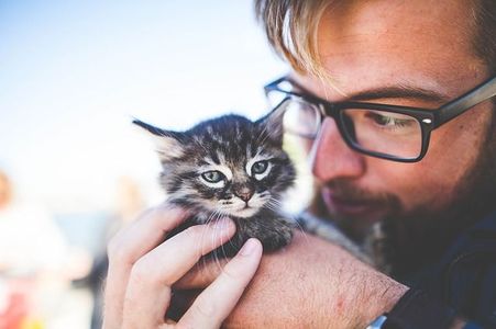 A man with glasses is holding a small kitten in his arms.