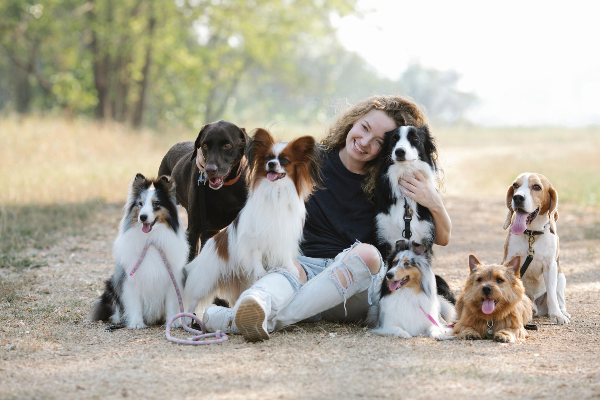 A woman is sitting on the ground with a group of dogs.