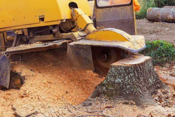 Yellow wood chipper ejecting a stream of wood chips onto the ground outdoors