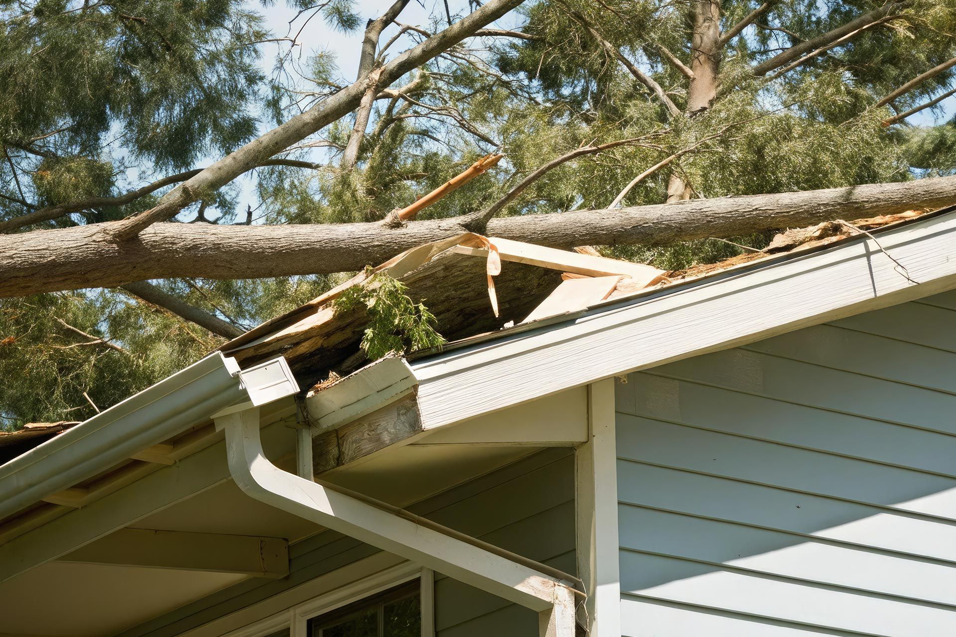 Fallen tree resting on a house roof causing visible damage to the structure. Fallen tree resting on a house roof causing visible damage to the structure.