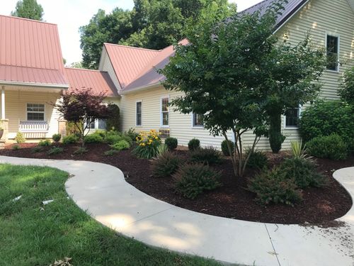 landscaping with mulch and purple flowers