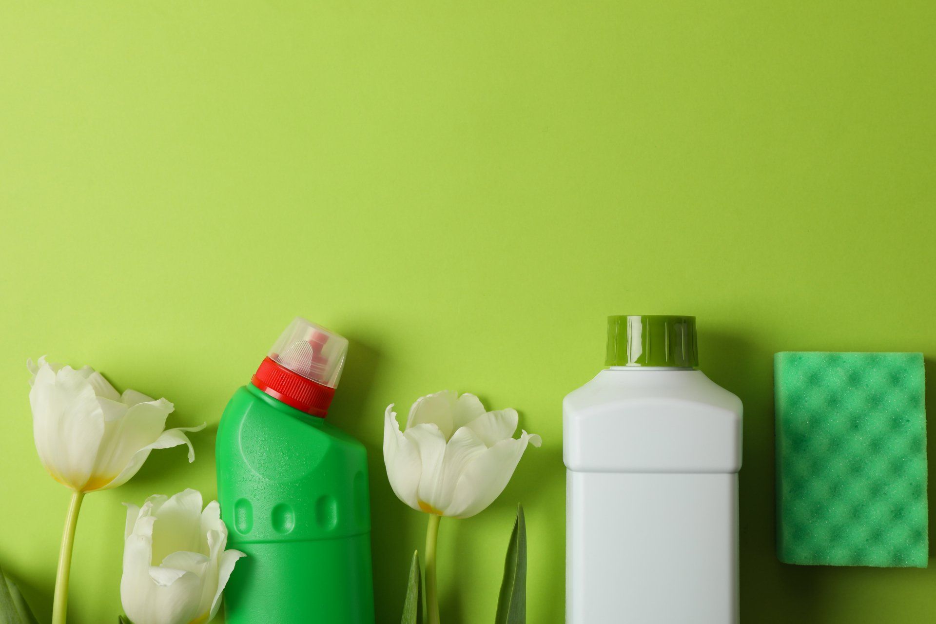 Eco+Friendly+Cleaning+Products w