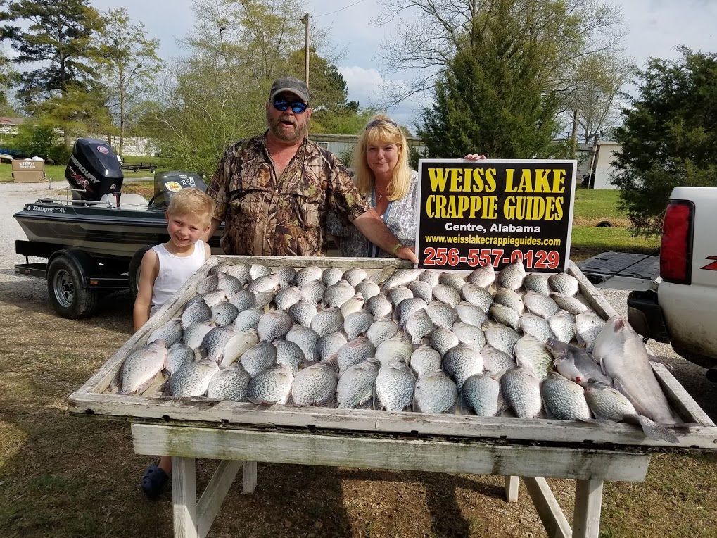 Two people and a child stand behind a table filled with many caught crappie fish, next to a sign for Weiss Lake Guides.