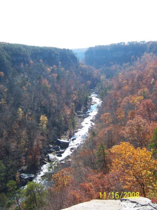 A river winds through a deep, forested canyon during autumn, with colorful fall foliage along the steep slopes.