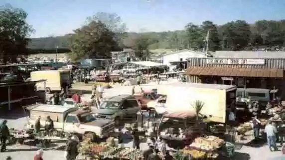 A busy outdoor flea market featuring stalls, vendor trucks, and shoppers on a sunny day in a rural setting.
