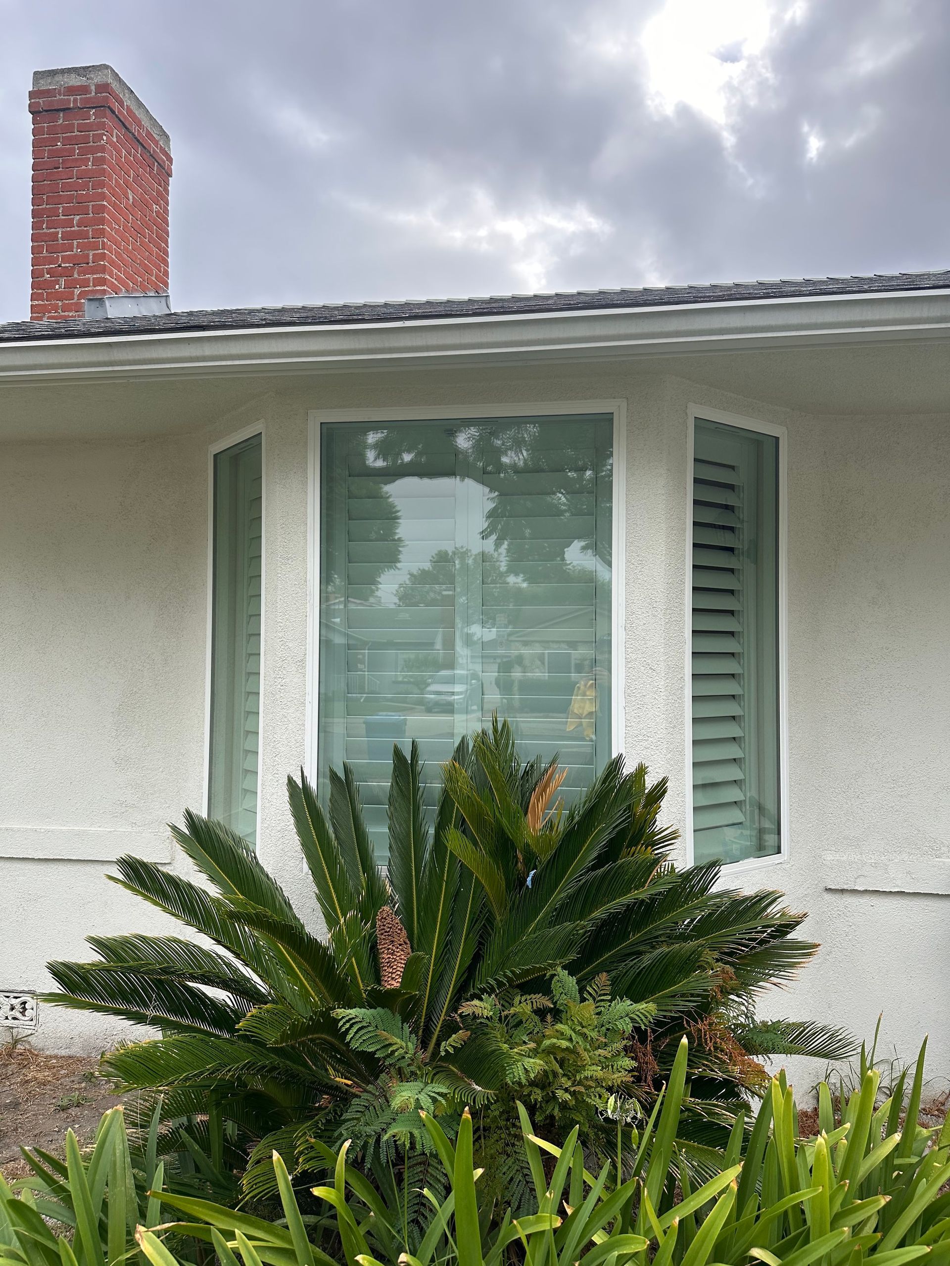 A white house with a palm tree in front of it.