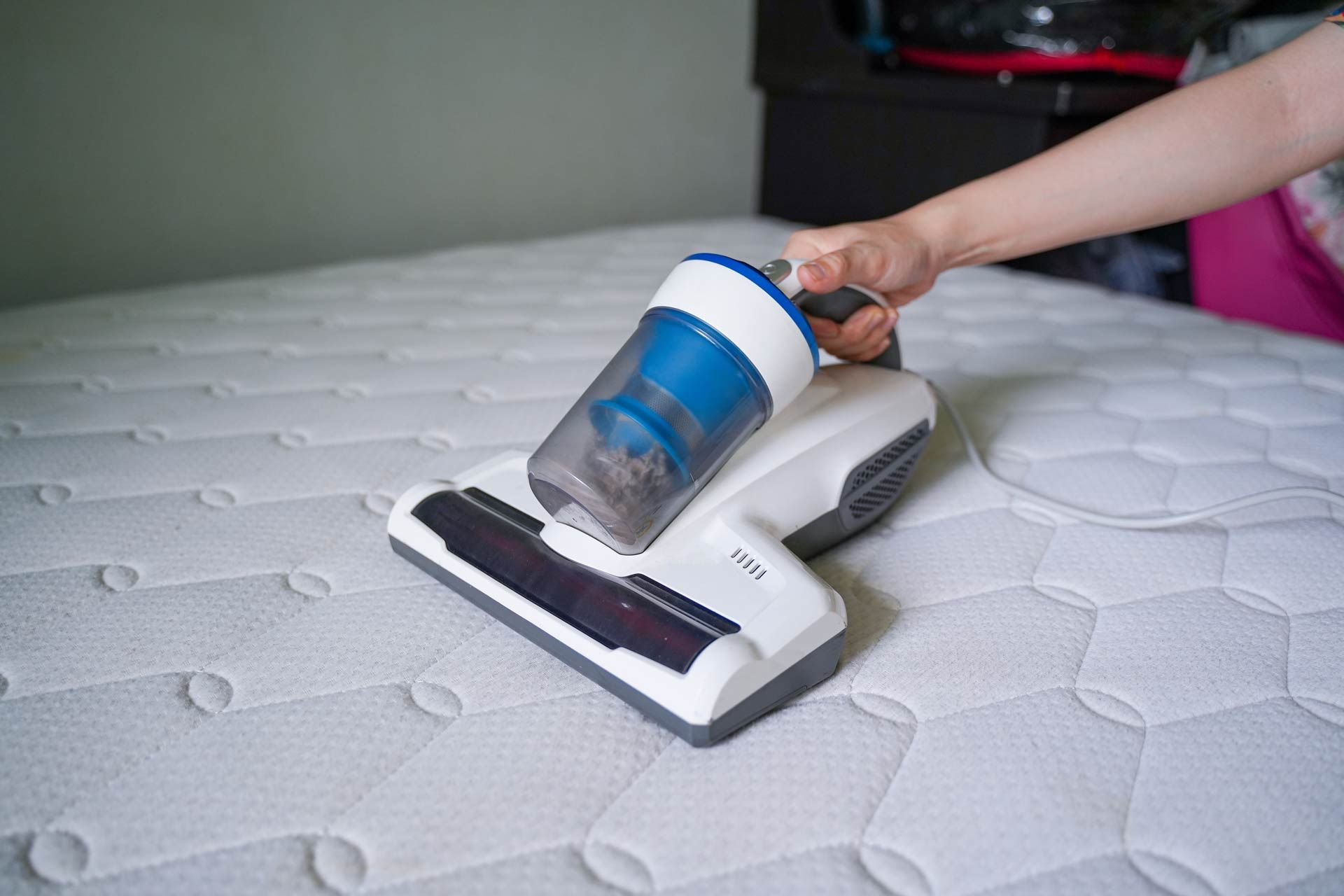 A person is cleaning a mattress with a vacuum cleaner.