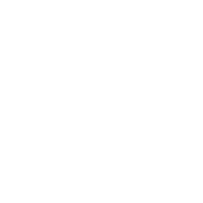 Biometric Access Systems
