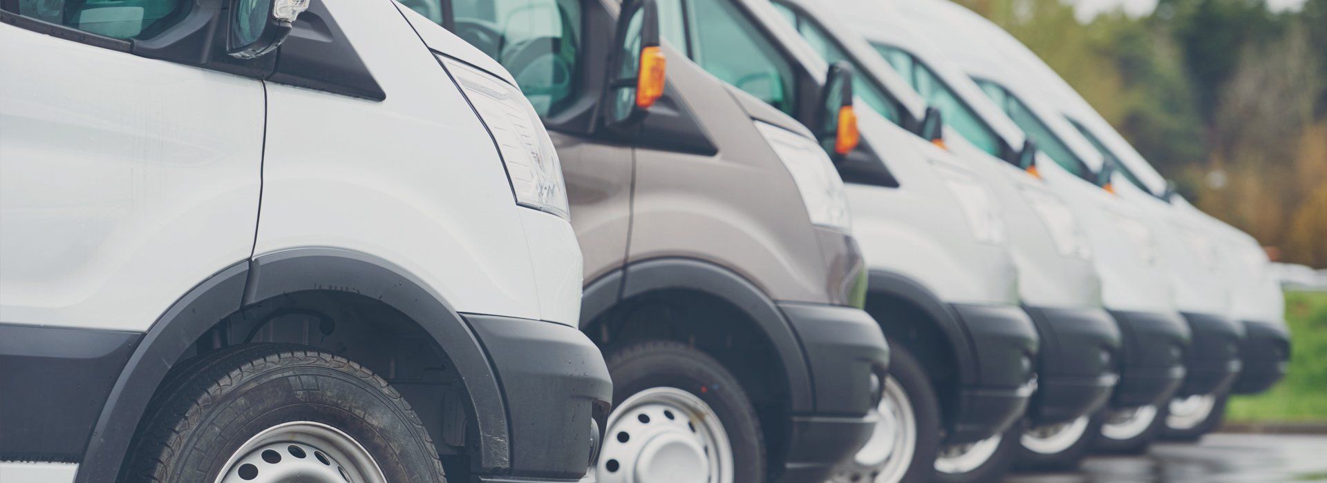 Fleet of vehicles
