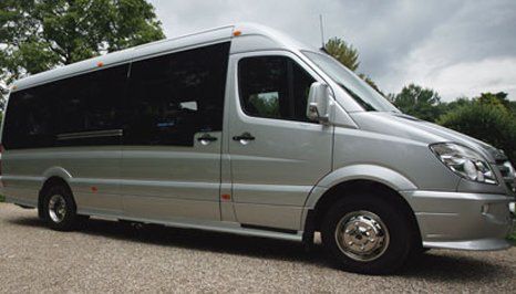 minibuses