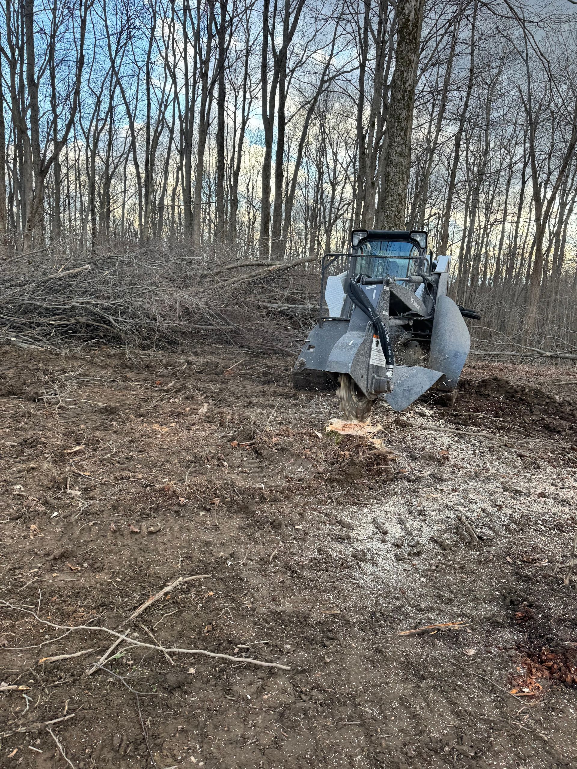 A bulldozer is cutting down a tree in the middle of a forest.