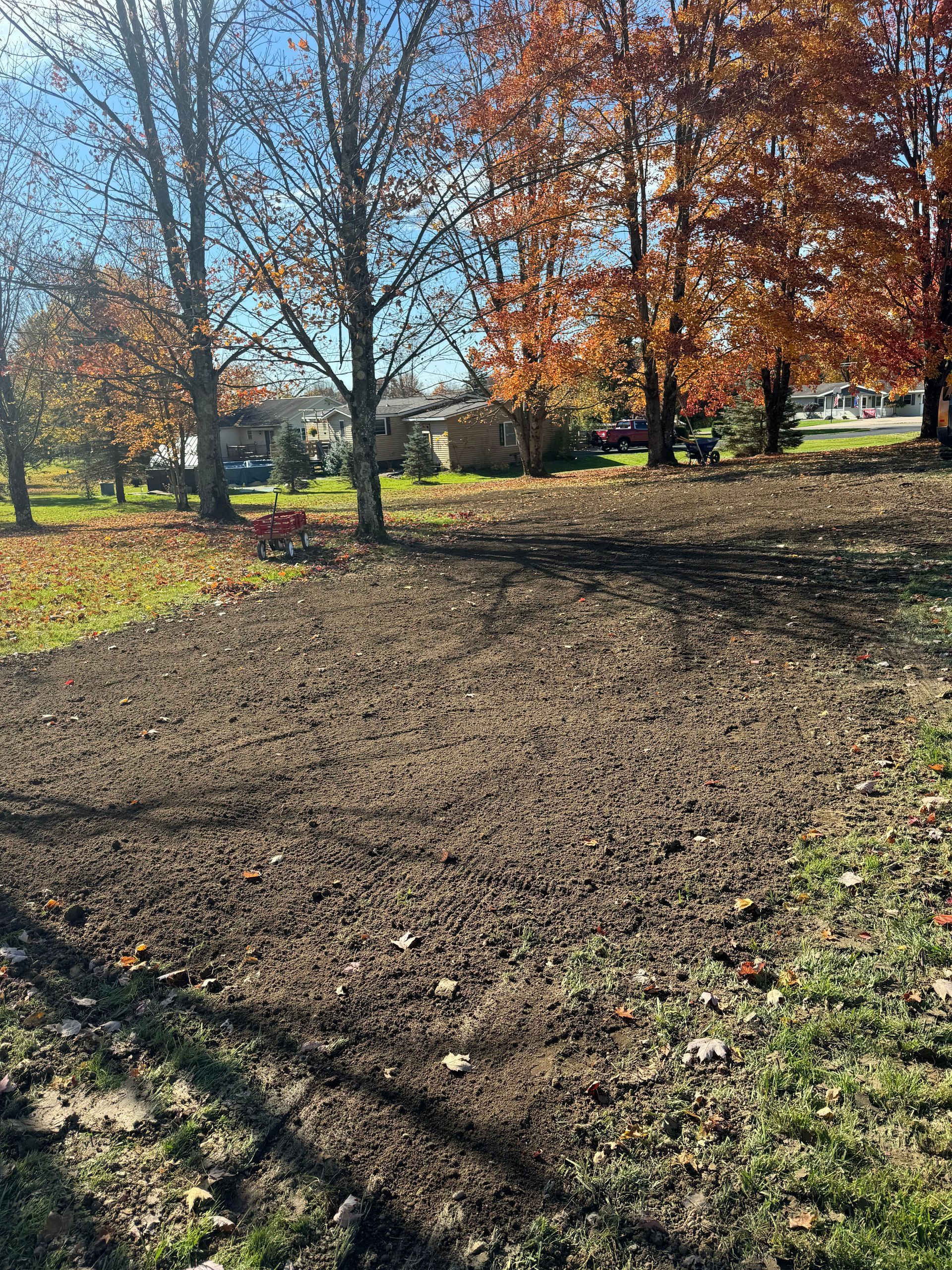 A bare earth patch in a grassy yard, under autumn trees with orange and yellow leaves, on a sunny day.