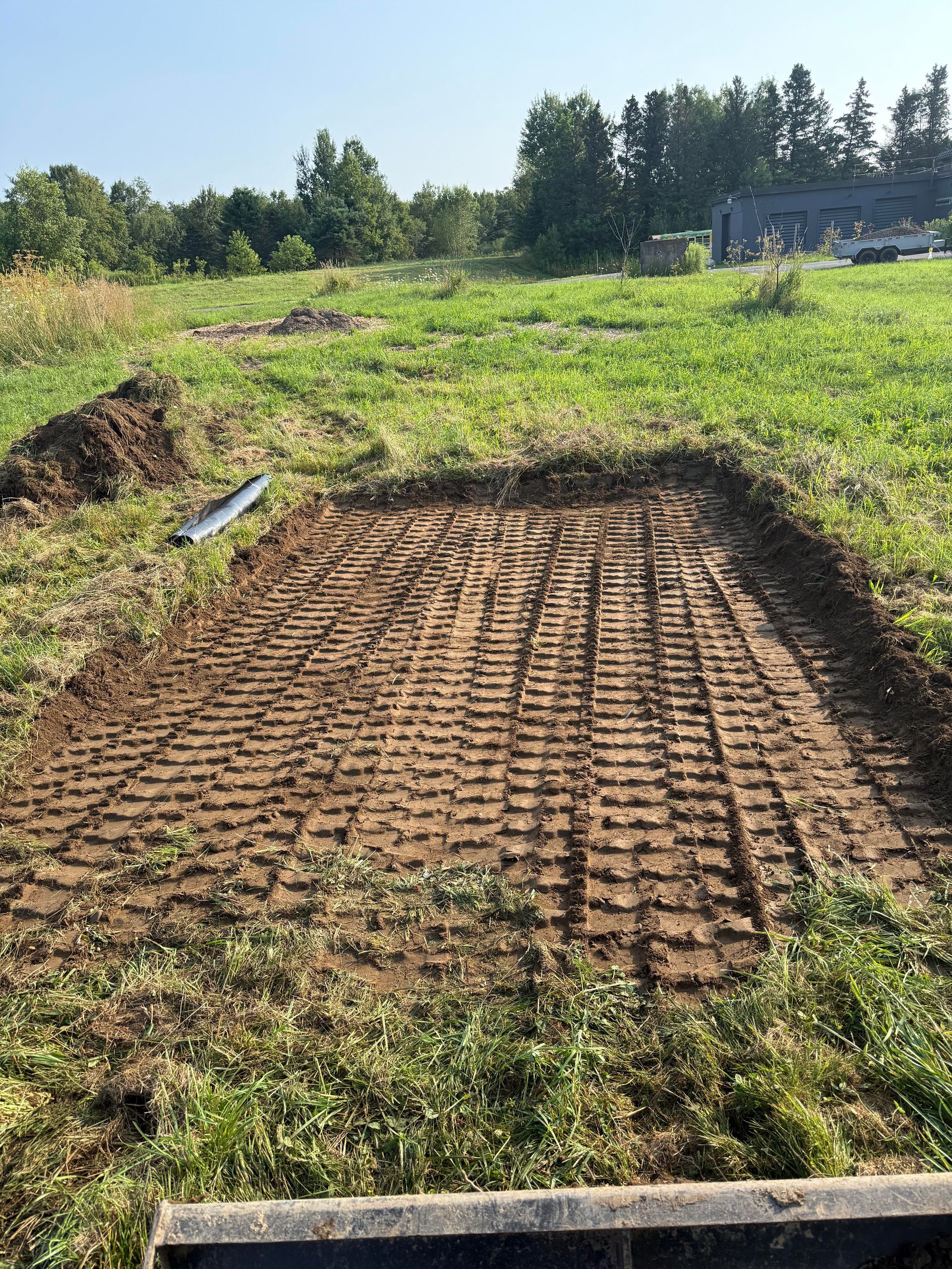 Dirt patch in a grassy field with tire tracks, surrounded by grass and trees in the distance.