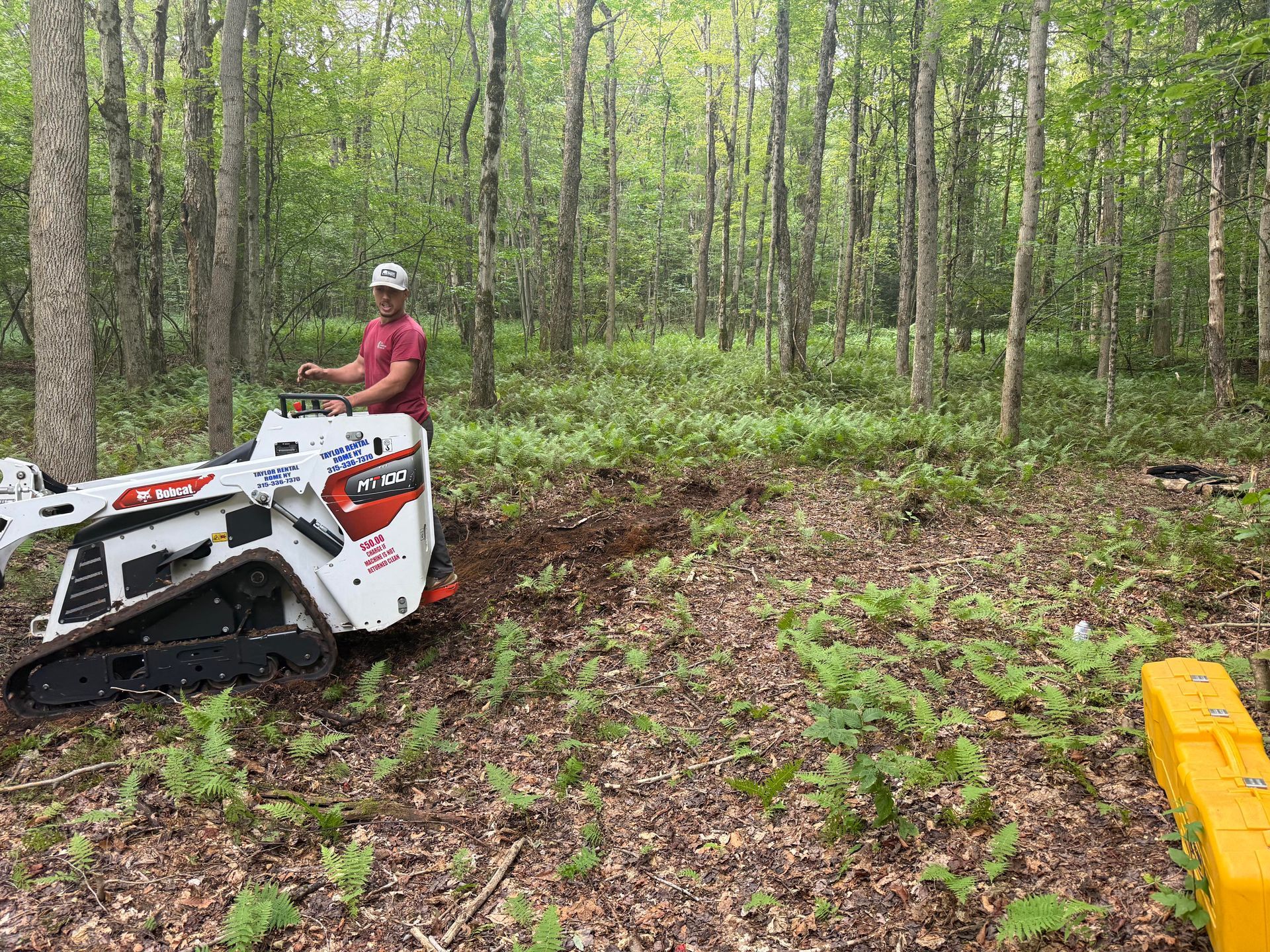 A person operating a small track skid steer in a wooded area clearing brush.